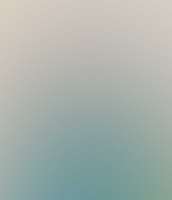 Mavi travel & conference